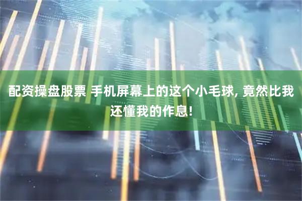 配资操盘股票 手机屏幕上的这个小毛球, 竟然比我还懂我的作息!